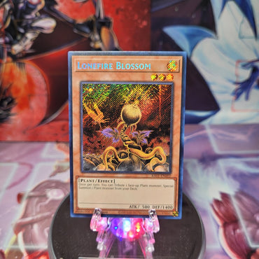 A Secret Rare "Lonefire Blossom" card from the Yugioh Set: Rarity Collection 1 (RA01).