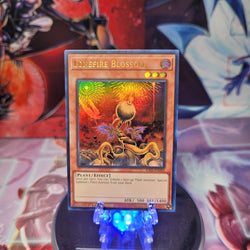 An Ultra Rare "Lonefire Blossom" card from the Yugioh Set: Rarity Collection 1 (RA01).