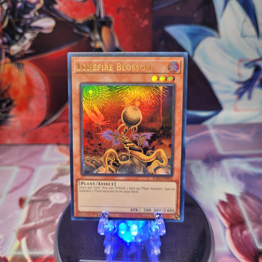 An Ultra Rare "Lonefire Blossom" card from the Yugioh Set: Rarity Collection 1 (RA01).