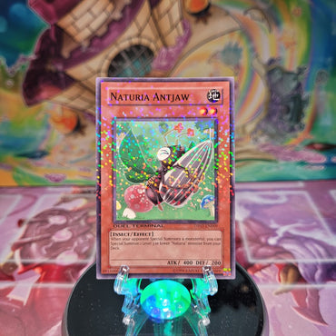 A Duel Terminal Common "Naturia Antjaw" card from the Yugioh Set: Duel Terminal 2 (DT02).