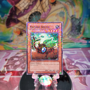 A Duel Terminal Common "Naturia Beetle" card from the Yugioh Set: Duel Terminal 2 (DT02).