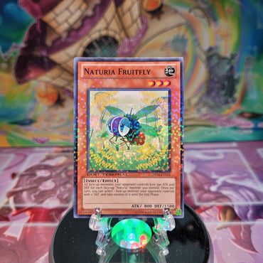 A Duel Terminal Common "Naturia Fruitfly" card from the Yugioh Set: Duel Terminal 3 (DT03).