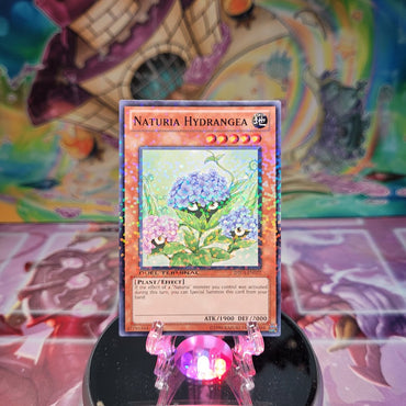A Duel Terminal Common "Naturia Hydrangea" card from the Yugioh Set: Duel Terminal 3 (DT03).