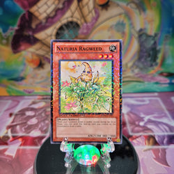 A Duel Terminal Common "Naturia Ragweed" card from the Yugioh Set: Duel Terminal 4 (DT04).