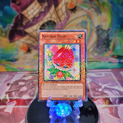 A Duel Terminal Common "Naturia Tulip" card from the Yugioh Set: Duel Terminal 3 (DT03).