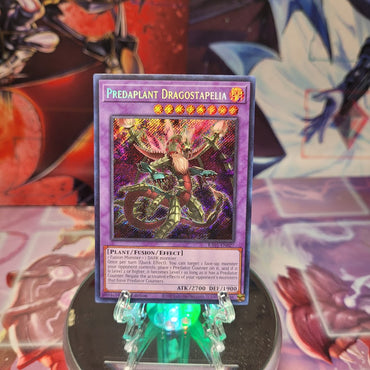 A Secret Rare "Predaplant Dragostapelia" card from the Yugioh Set: Rarity Collection 1 (RA01).
