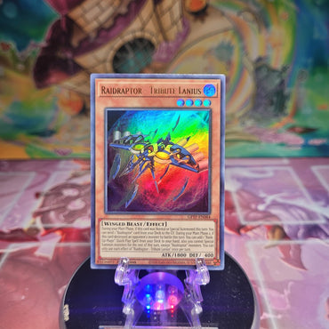 An Ultra Rare "Raidraptor - Tribute Lanius" card from the Yugioh Set: Ghosts From the Past.