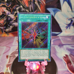  A Secret Rare "Rank-Up-Magic Admiration of the Thousands" card from the Yugioh Set: Dragons of Legend.