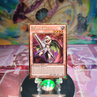 A Gold Secret Rare "Rose Paladin" card from the Yugioh Set: Premium Gold: Return of the Bling.