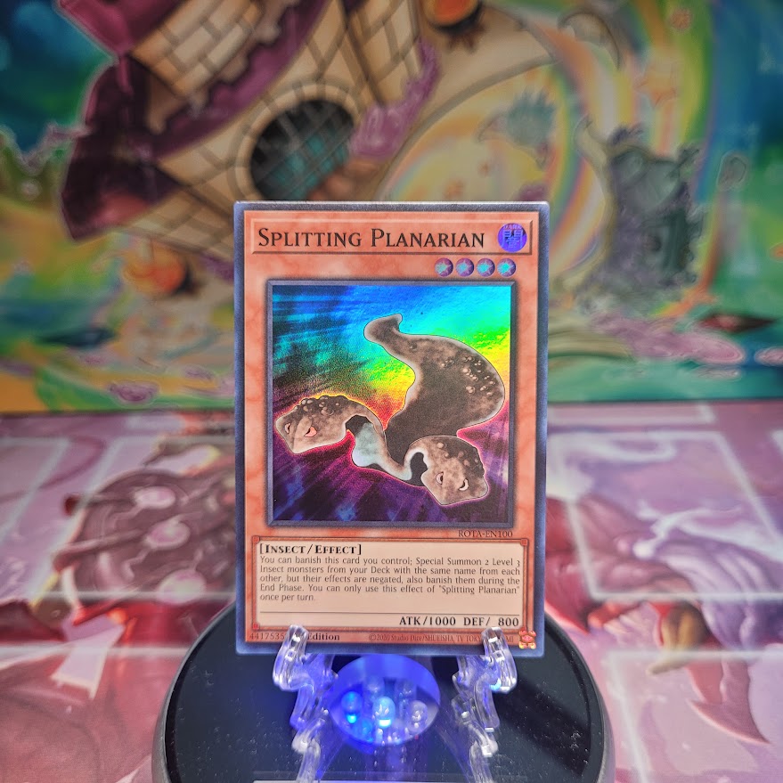 A Super Rare "Splitting Planarian" card from the Yugioh Set: Rage of the Abyss (ROTA).