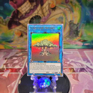 An Ultra Rare "Sunavalon Dryades" card from the Yugioh Set: Ghosts From the Past.