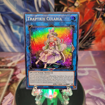 A Super Rare "Traptrix Cularia" card from the Yugioh 2022 Tin of the Pharaoh's Gods Set.