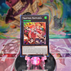 A Super Rare "Traptrix Rafflesia" card from the Yugioh Set: Rarity Collection 2 (RA02).