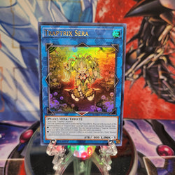 An Ultra Rare "Traptrix Sera" card from the Yugioh Set: Magnificent Mavens.