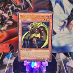  An Ultra Rare "Wandering King Wildwind" card from the Yugioh Set: Duelist Saga.