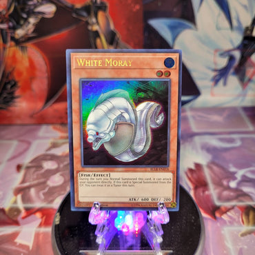 An Ultra Rare "White Moray" card from the Yugioh Set: Battles of Legend: Light's Revenge (BLLR).