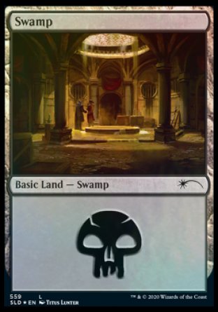 Swamp (Rogues) (559) [Secret Lair Drop Promos] Magic: The Gathering