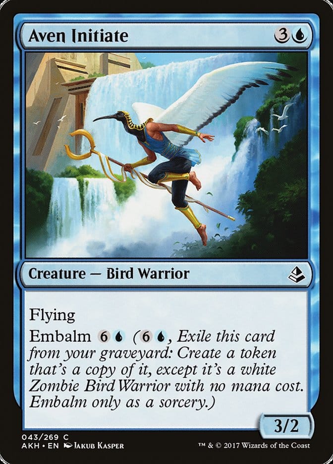 Aven Initiate [Amonkhet] Magic: The Gathering