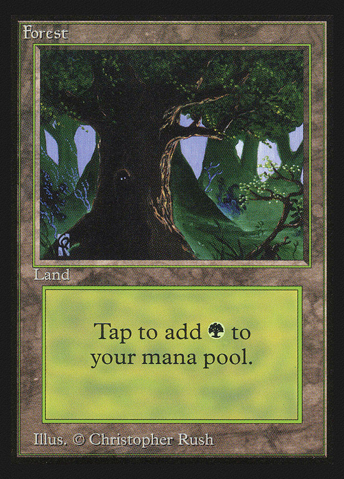 Forest (Eyes in Tree) [Collectors' Edition] Magic: The Gathering