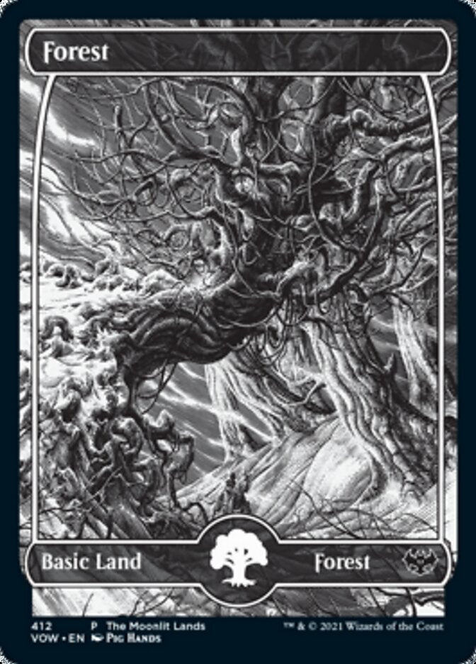 Forest (The Moonlit Lands) (Foil Etched) [Innistrad: Crimson Vow Promos] Magic: The Gathering