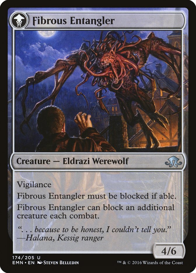Tangleclaw Werewolf // Fibrous Entangler [Eldritch Moon] Magic: The Gathering