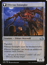 Tangleclaw Werewolf // Fibrous Entangler [Eldritch Moon] Magic: The Gathering