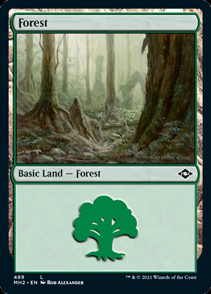 Forest (489) (Foil Etched) [Modern Horizons 2] Magic: The Gathering