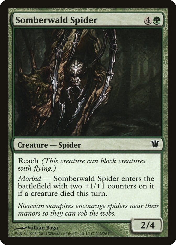 Somberwald Spider [Innistrad] Magic: The Gathering