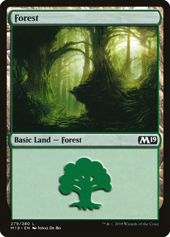 Forest (279) [Core Set 2019] Magic: The Gathering