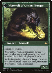 Sage of Ancient Lore // Werewolf of Ancient Hunger [Shadows over Innistrad] Magic: The Gathering