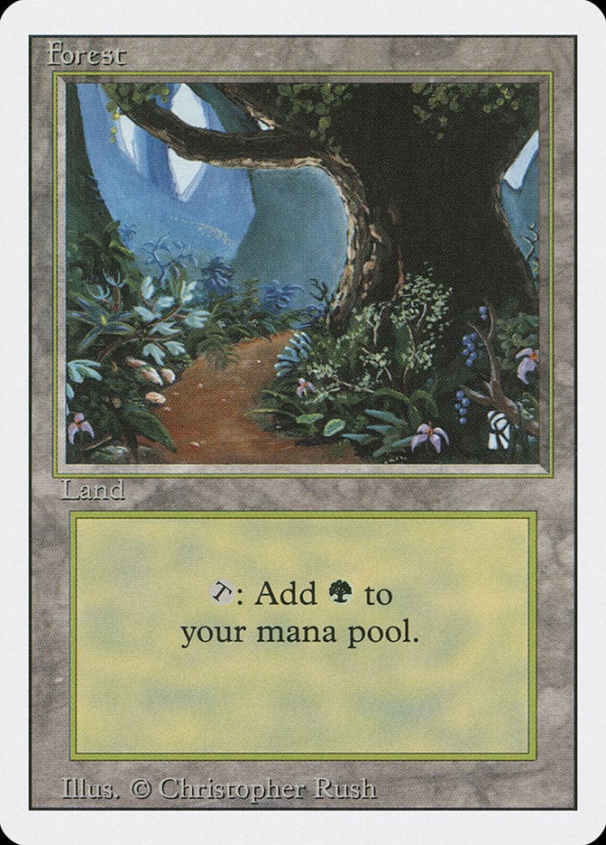 Forest (Flower Path) [Revised Edition] Magic: The Gathering