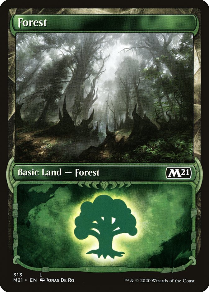 Forest (313) (Showcase) [Core Set 2021] Magic: The Gathering