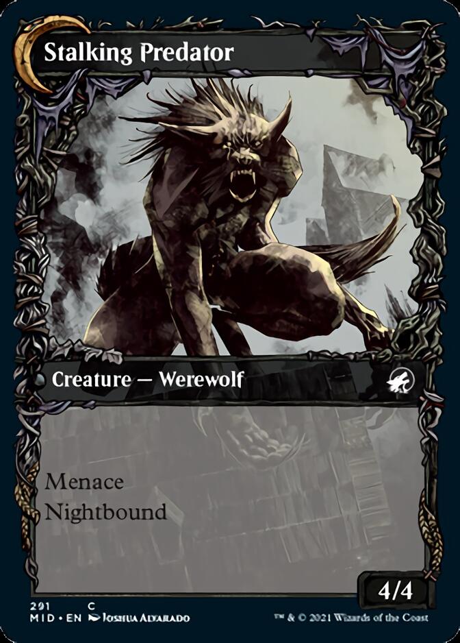 Shady Traveler // Stalking Predator (Showcase Equinox) [Innistrad: Midnight Hunt] Magic: The Gathering