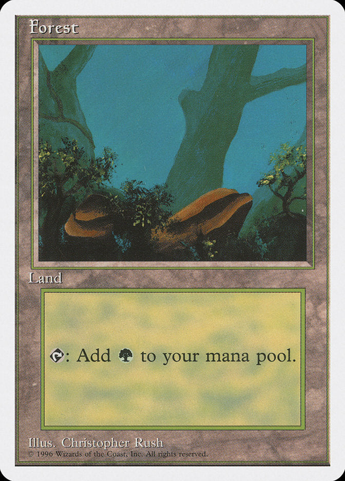Forest (Two Boulders) [Introductory Two-Player Set] Magic: The Gathering