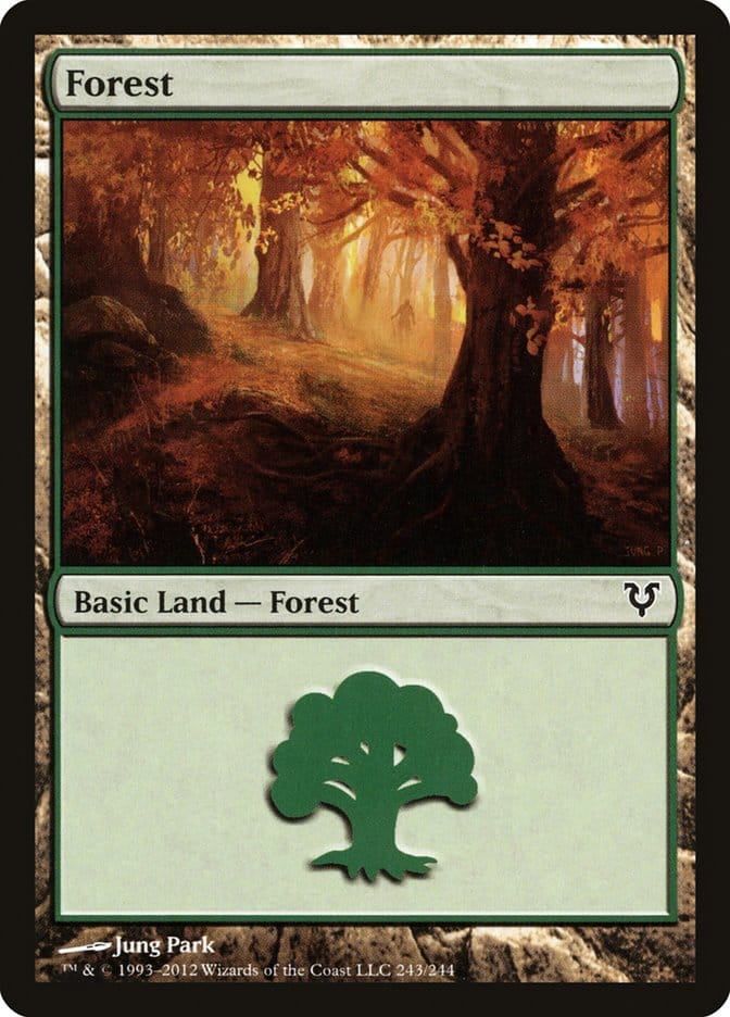 Forest (243) [Avacyn Restored] Magic: The Gathering