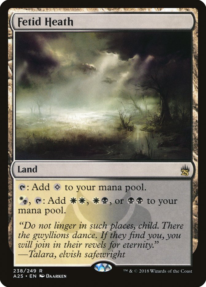 Fetid Heath [Masters 25] Magic: The Gathering