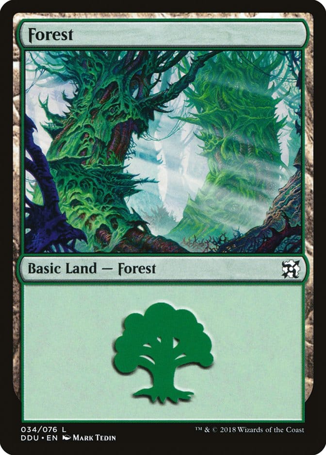 Forest (34) [Duel Decks: Elves vs. Inventors] Magic: The Gathering