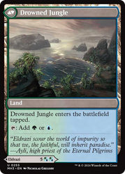 Drowner of Truth // Drowned Jungle [Modern Horizons 3] Magic: The Gathering