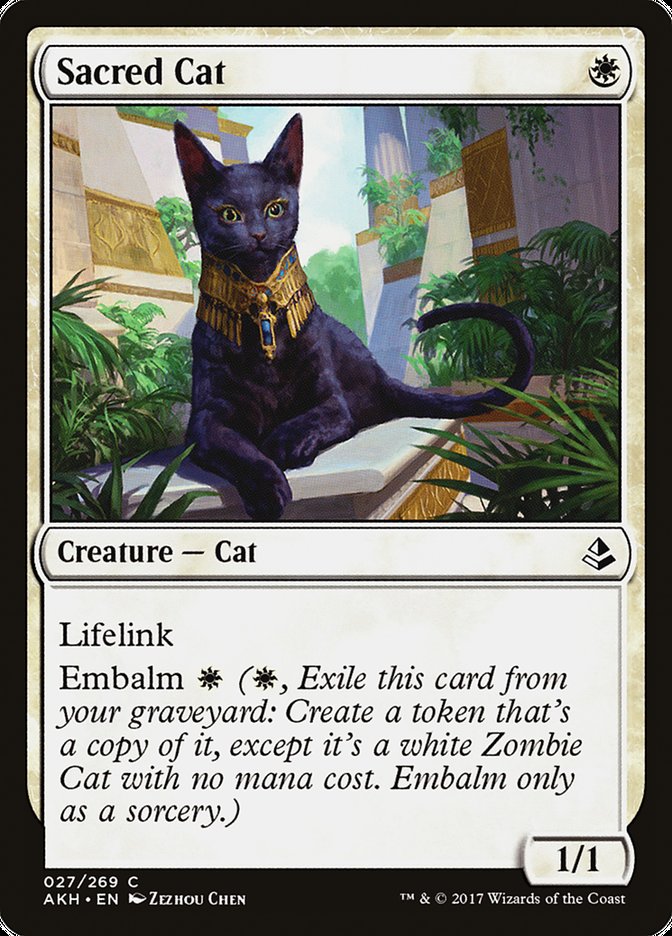 Sacred Cat [Amonkhet] Magic: The Gathering