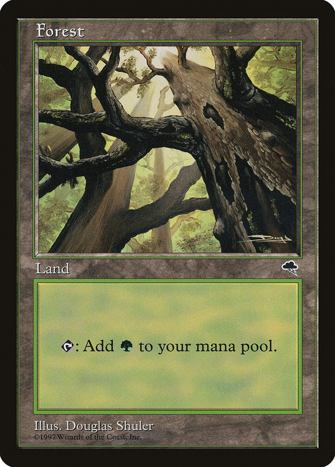 Forest (Looking from Below) [Tempest] Magic: The Gathering
