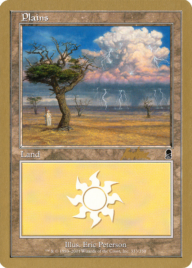 Plains (bk333) (Brian Kibler) [World Championship Decks 2002] Magic: The Gathering