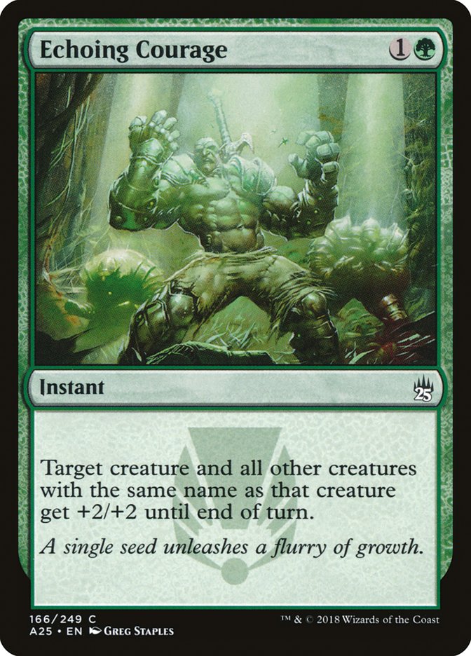 Echoing Courage [Masters 25] Magic: The Gathering