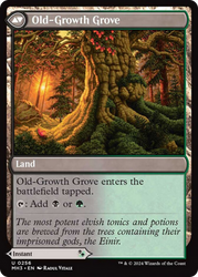 Revitalizing Repast // Old-Growth Grove [Modern Horizons 3] Magic: The Gathering