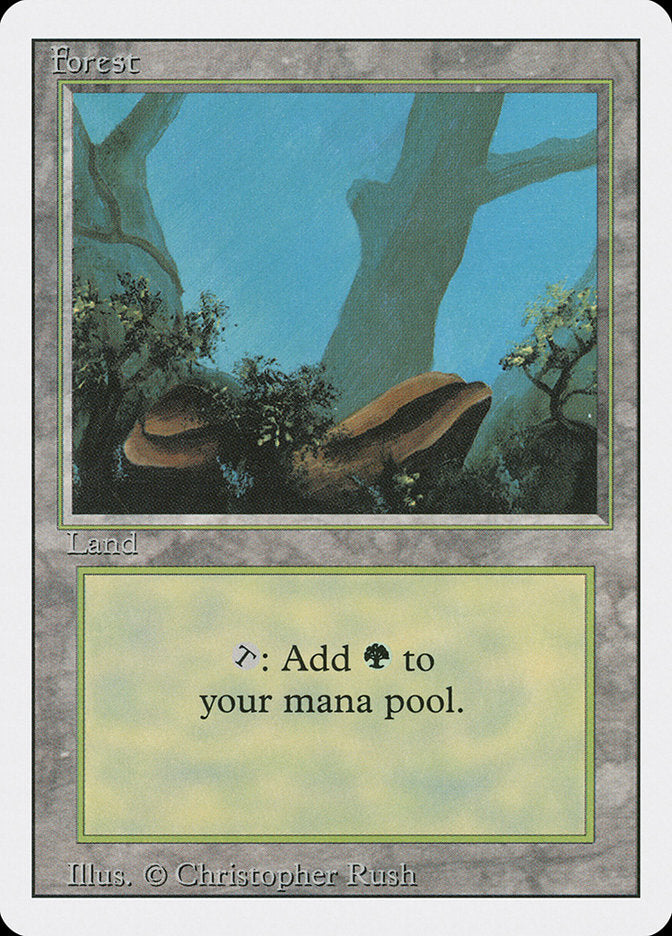 Forest (Two Stones) [Revised Edition] Magic: The Gathering