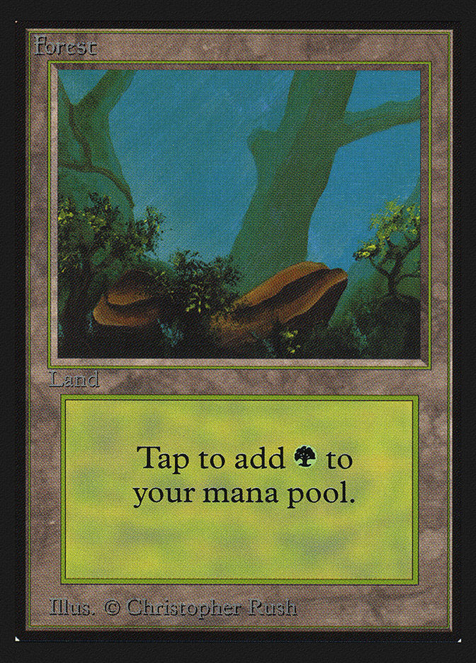 Forest (Two Stones) [Collectors' Edition] Magic: The Gathering