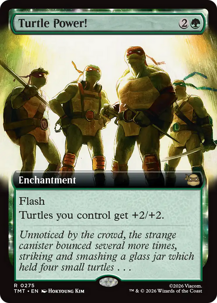 Turtle Power! (Extended Art) [Teenage Mutant Ninja Turtles] Magic: The Gathering