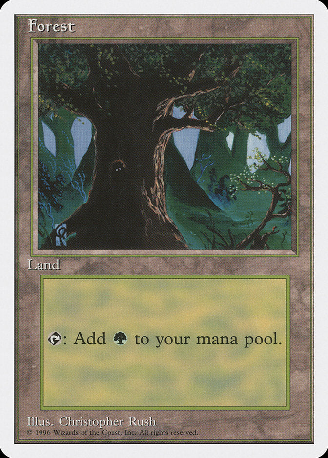 Forest (Creature in Tree Hole) [Introductory Two-Player Set] Magic: The Gathering