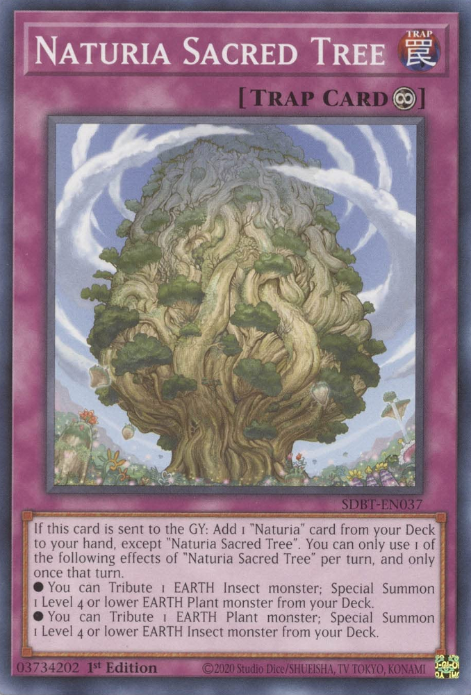 Naturia Sacred Tree [SDBT-EN037] Common Yu-Gi-Oh!