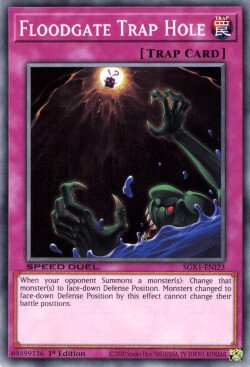 Floodgate Trap Hole [SGX1-ENI23] Common Yu-Gi-Oh!