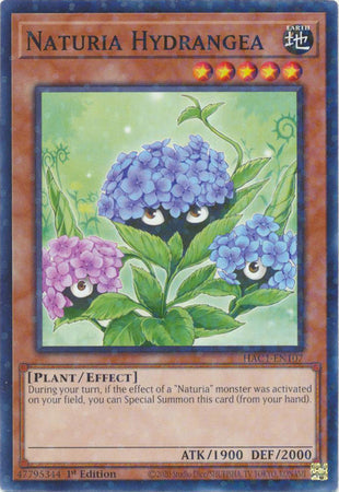 Naturia Hydrangea (Duel Terminal) [HAC1-EN107] Common Yu-Gi-Oh!